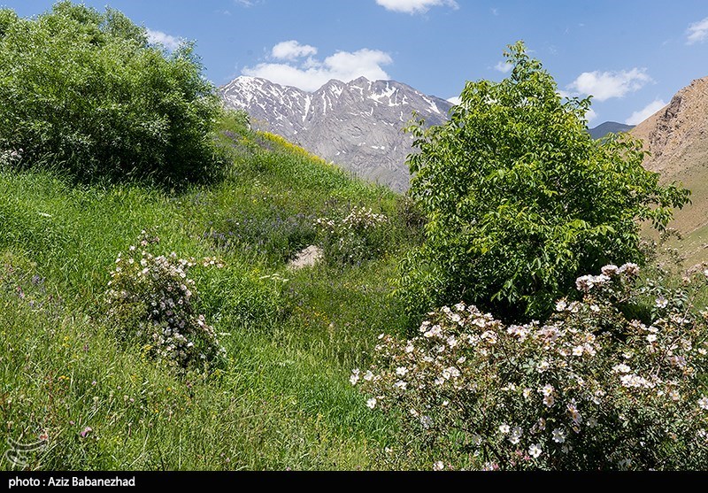 عکس/ کوه پایه اشترانکوه در روستای "کمندان" لرستان