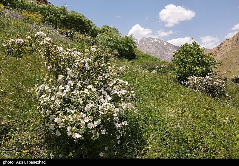 عکس/ کوه پایه اشترانکوه در روستای "کمندان" لرستان