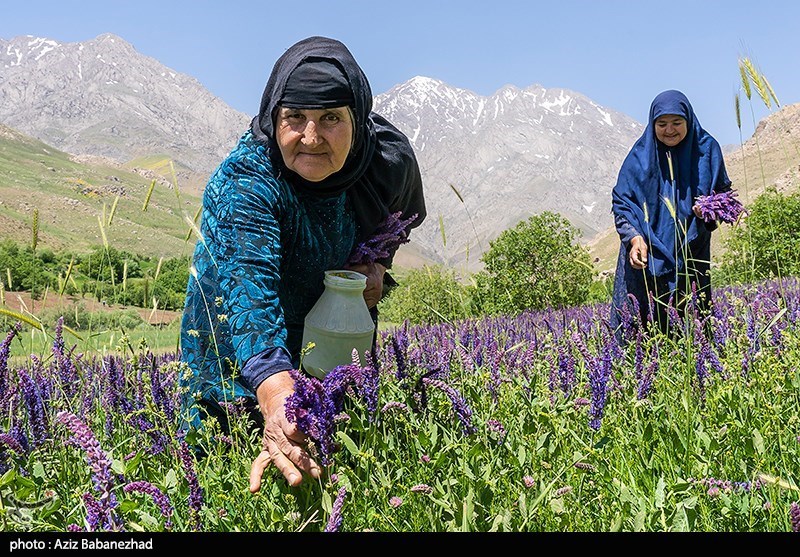 عکس/ کوه پایه اشترانکوه در روستای "کمندان" لرستان