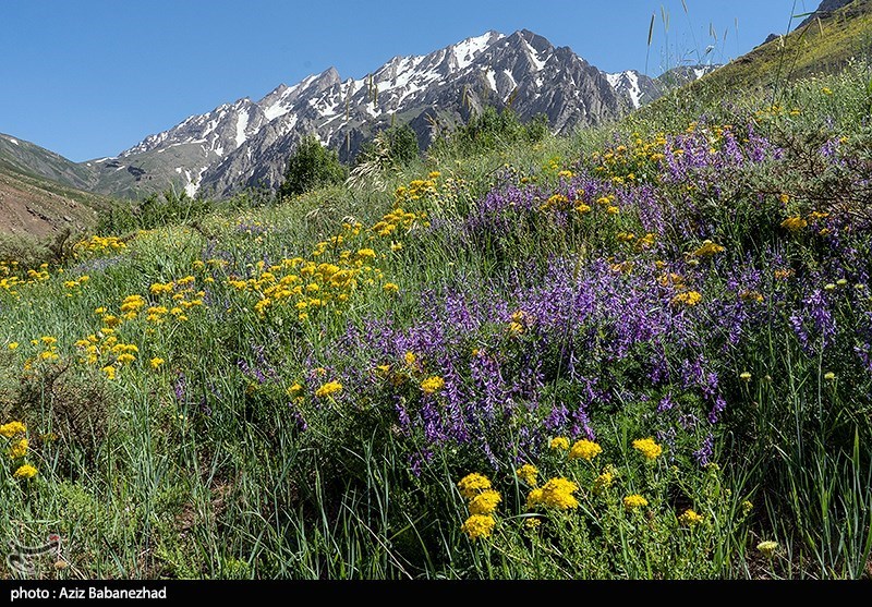 عکس/ کوه پایه اشترانکوه در روستای "کمندان" لرستان