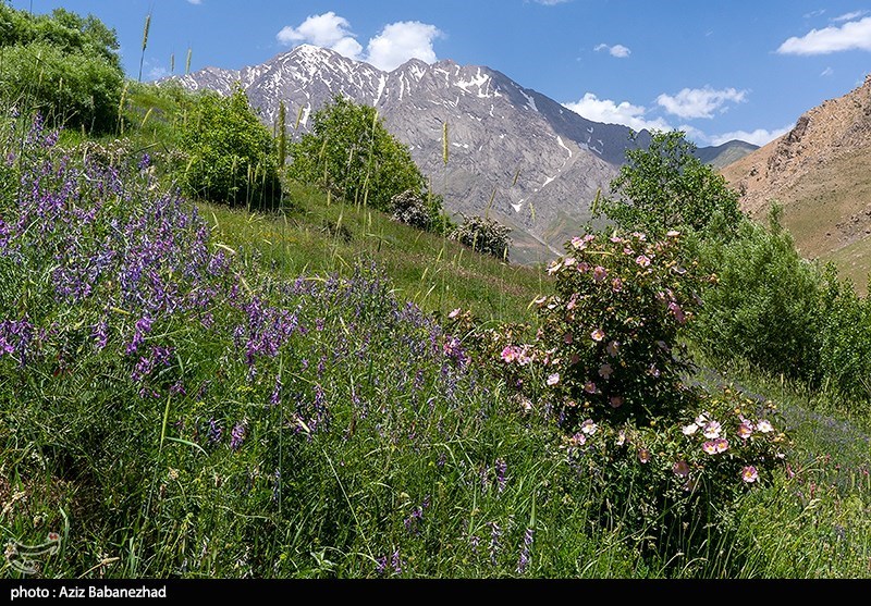 عکس/ کوه پایه اشترانکوه در روستای "کمندان" لرستان