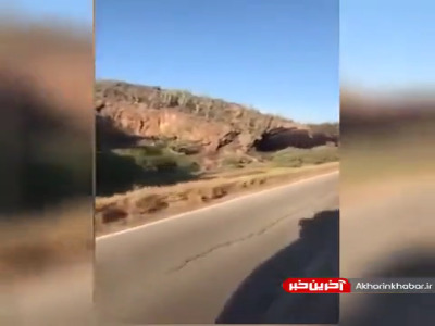 خروج غیرمنتظره هزاران خفاش از غار