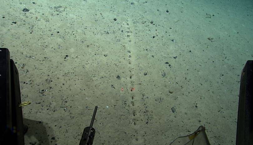 کشفی عجیب در اعماق اقیانوس اطلس؛ حفره‌های که گویی توسط انسان‌ها ایجاد شده‌اند