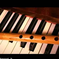 قطعه «آیریلیق» با نوای دودوک و پیانو 