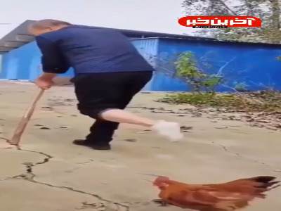 وقتی بازیچه یک مرغ میشی