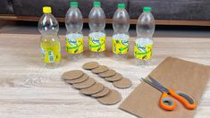 ایده خلاقانه با بطری پلاستیکی