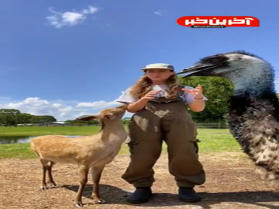 وقتی در تلاشی ویدئویی رو ضبط کنی اما…