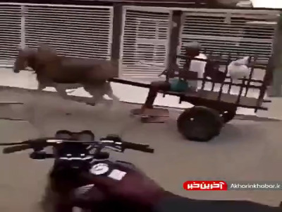 به نظرتون سالم به مقصد میرسه!