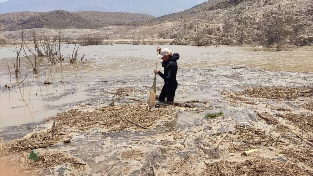 سیل در استان فارس، جان یک بانوی عشایر را گرفت
