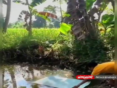 این آخرش یکم اشتباه شد