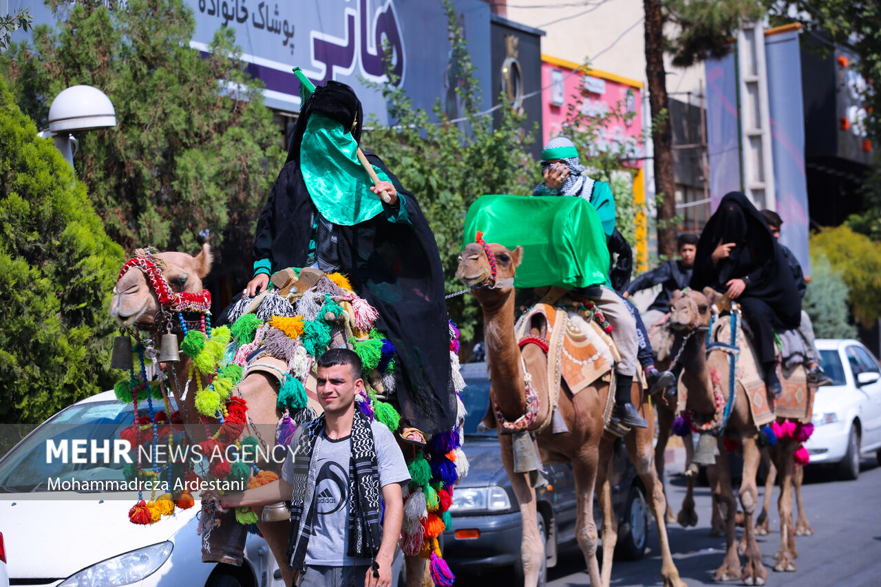 عکس/ ورود نمادین کاروان امام حسین (ع) به کربلا