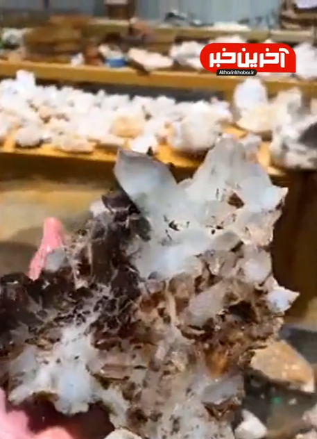 از زیباییهای پنهان طبیعت