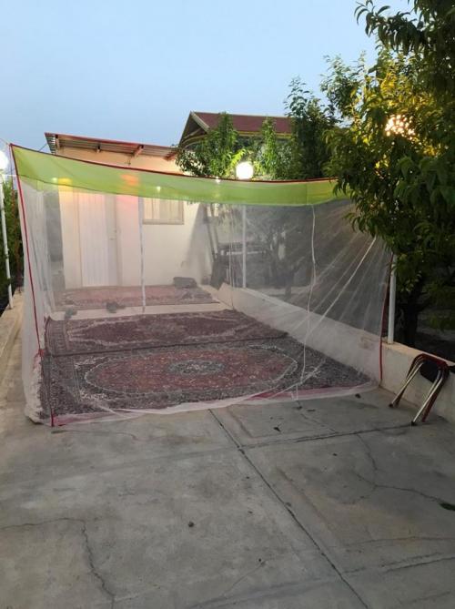 ترکیب های خانگی برای فراری دادن پشه ها ترکیب های خانگی برای فراری دادن پشه ها