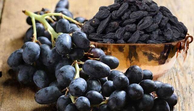 مویز و اثرات شگفت‌انگیز آن