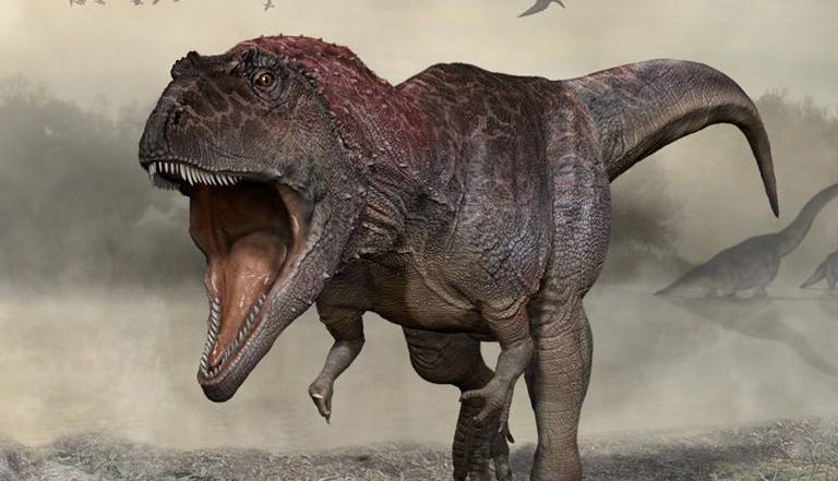 چرا اغلب دایناسورهای گوشتخوار ماقبل‌تاریخ، دست‌های کوچکی داشتند؟