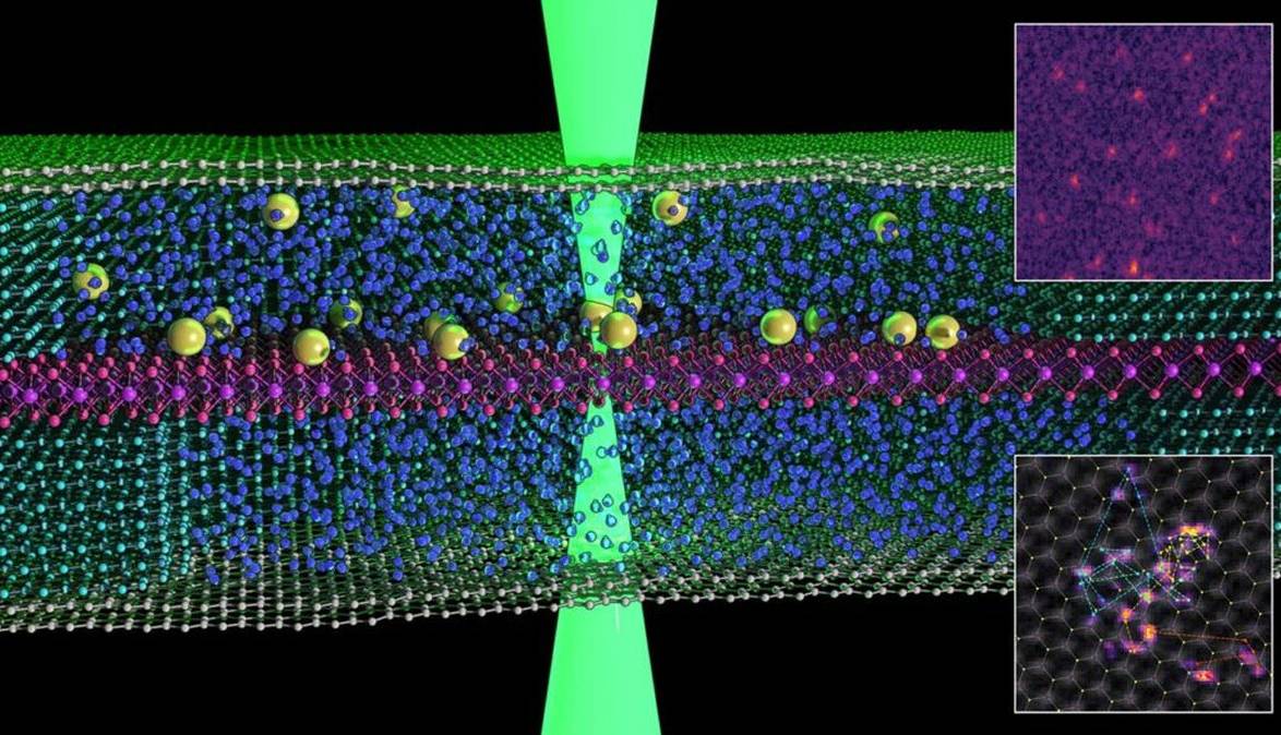 مشاهده حرکت اتم در یک سیال