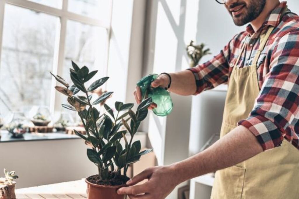 ۶ راهکار ساده و کم‌هزینه برای از بین بردن پشه گلدان خانگی