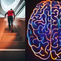 بالا رفتن از پله‌ها راهی برای پیشگیری از کوچک شدن مغز