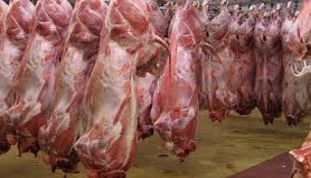 عرضه کنندگان گوشت از مالیات معاف هستند