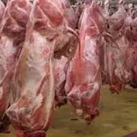 عرضه کنندگان گوشت از مالیات معاف هستند