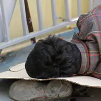 هشدار درباره رواج «بی‌‌خانمانی» در پایتخت