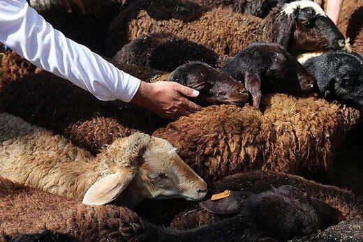 گرانی به جان نذری های محرم افتاد