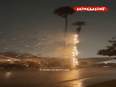 برخورد شدید صاعقه با درخت خرما
