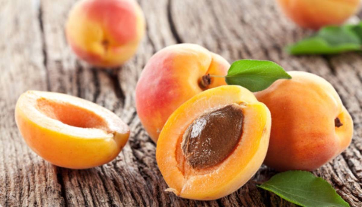۱۱ میوه کم قند خوشمزه و سرشار از مواد مغذی