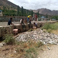 سیل ۲۳۷ میلیارد ریال به مزارع پرورش ماهی فارس خسارت زد