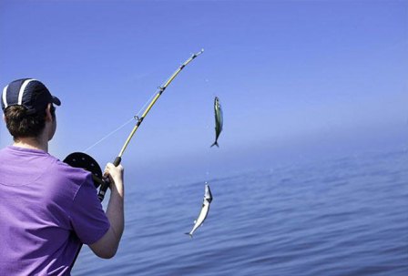 ماهیگیری به شکلی عجیب و جالب