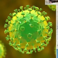 محققان چینی از شناسایی ویروس جدید و احتمالا کشنده «لانگیا» خبر می‌دهند