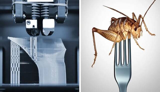 نجات از بحران غذایی با چاپ ۳ بعدی حشرات !