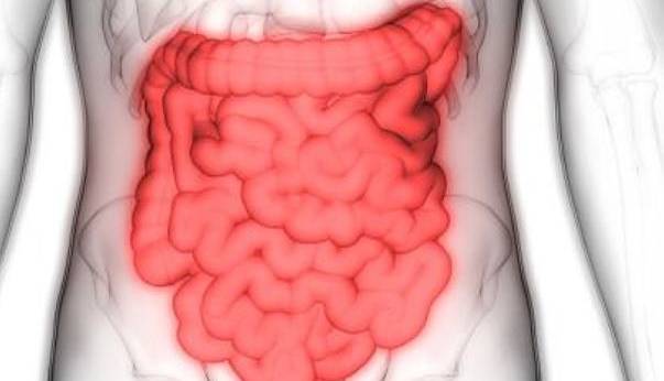 ارتباط بیماری التهابی روده با ریسک بارداری های پرخطر  