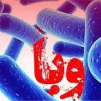 علائم «وبا» و نحوه پیشگیری از این بیماری