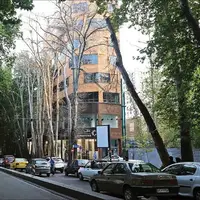 شهرداری تهران: قاتلان درختان شهر مجازات می‌شوند 