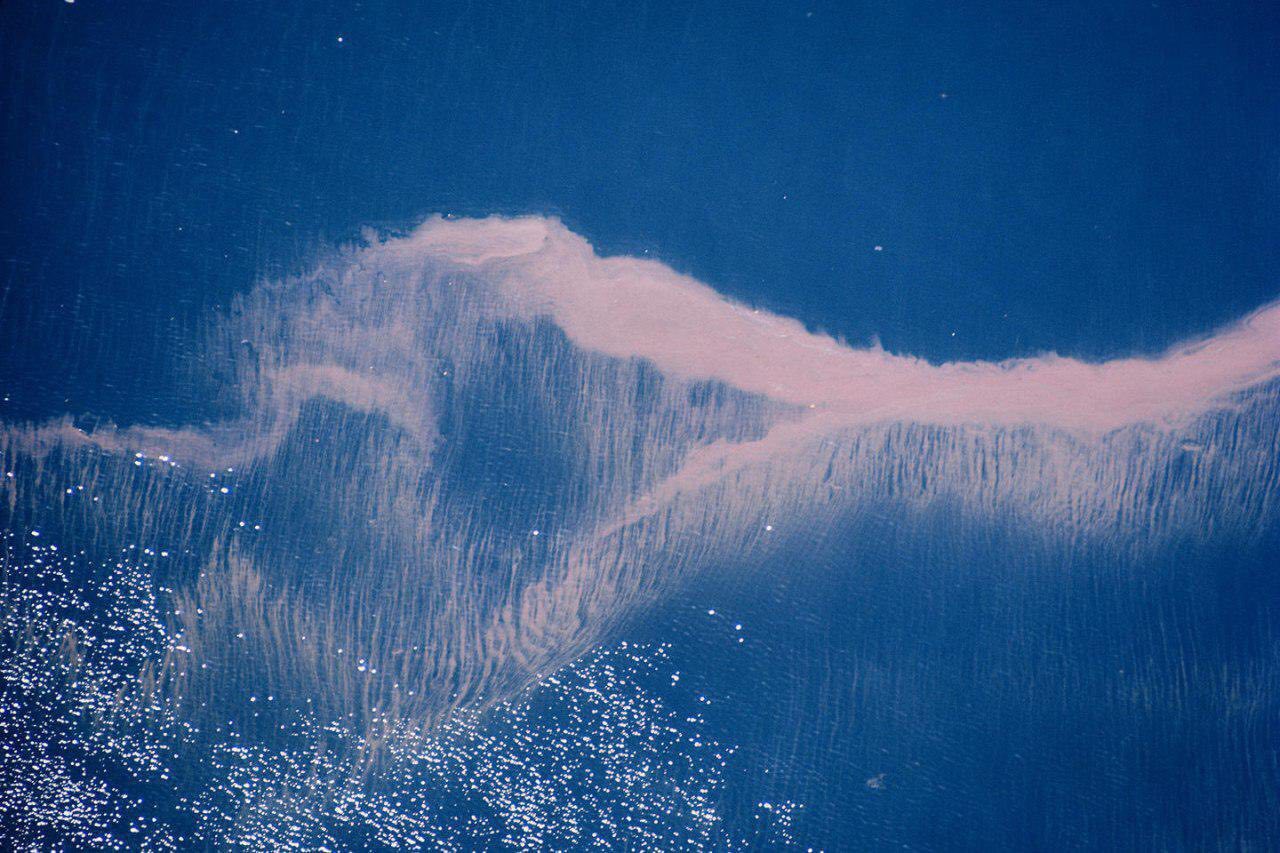 تصویری هوایی از پدیده «موج سرخ» در ژاپن
