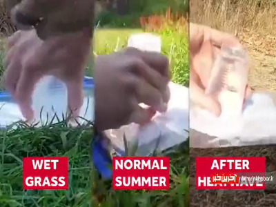 معضل زمین خشک در مقایسه با زمین مرطوب