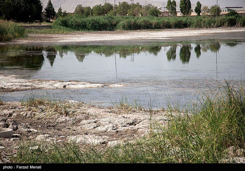 عکس/ مرگ تدریجی سراب نیلوفر در کرمانشاه
