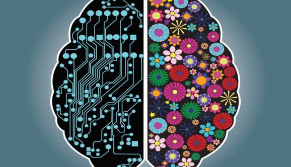 آیا راست مغزی و چپ مغزی واقعیت دارد؟