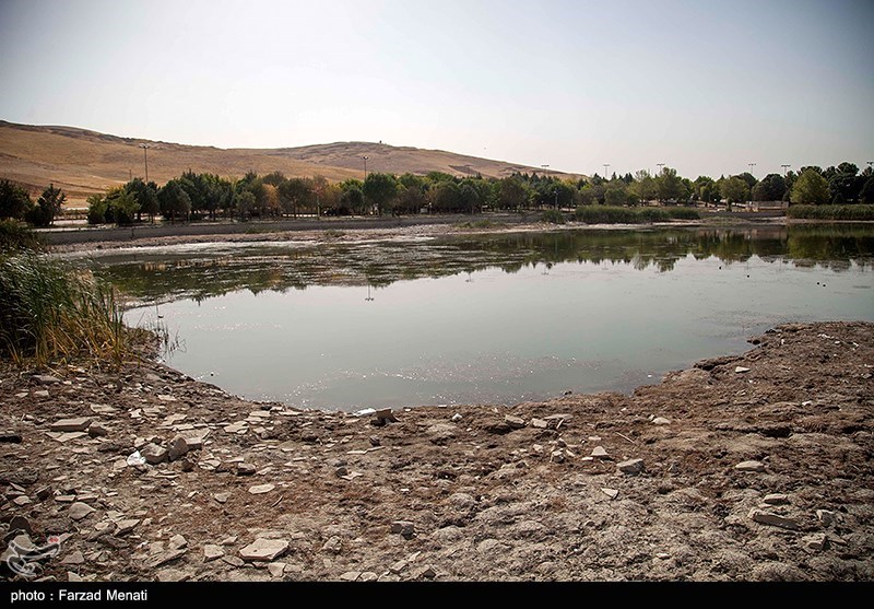 عکس/ مرگ تدریجی سراب نیلوفر در کرمانشاه