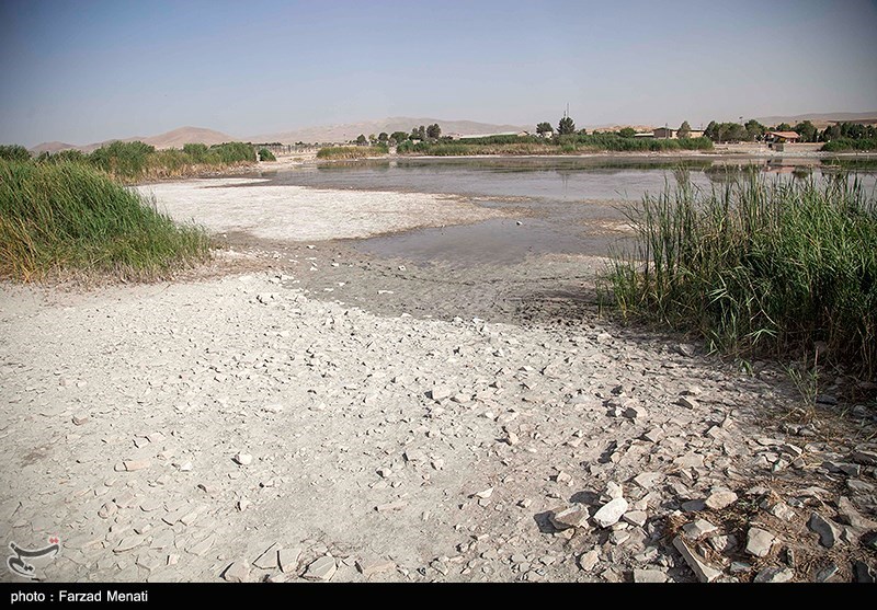 عکس/ مرگ تدریجی سراب نیلوفر در کرمانشاه
