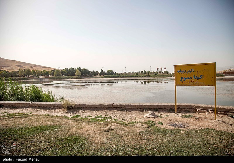 عکس/ مرگ تدریجی سراب نیلوفر در کرمانشاه