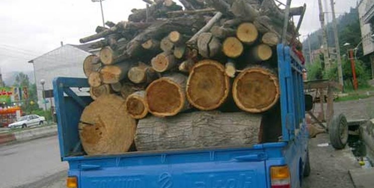 کشف ۲۰ تن چوب قاچاق در ملارد