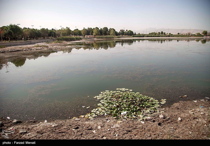 عکس/ مرگ تدریجی سراب نیلوفر در کرمانشاه