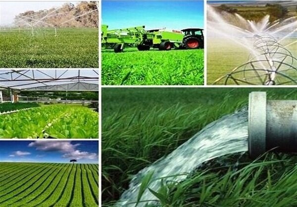 نگاهی به کشت فراسرزمینی و مزایای آن برای کشور