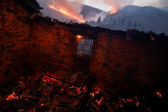 آتش سوزی های گسترده جنگلی در فرانسه و پرتغال