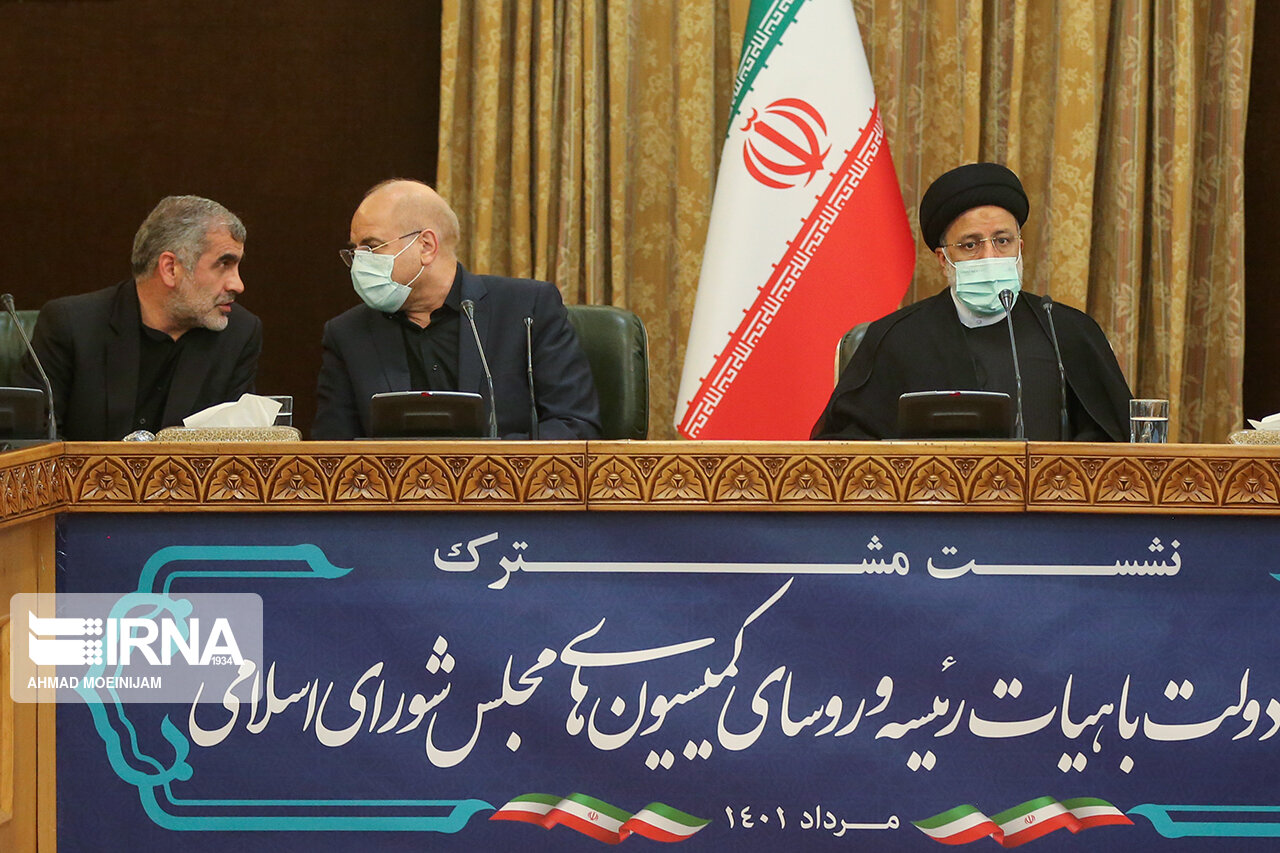 عکس/ حاشیه های نشست مشترک دولت و مجلس