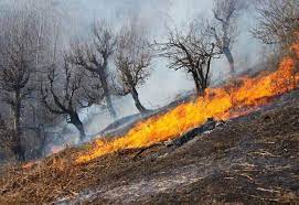 آتش‌سوزی در کوه لار و عنا در شهرستان باشت