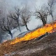 آتش‌سوزی در کوه لار و عنا در شهرستان باشت