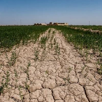 خسارت ۱۱۲ میلیارد سیلاب به کشاورزی شهرستان فسا